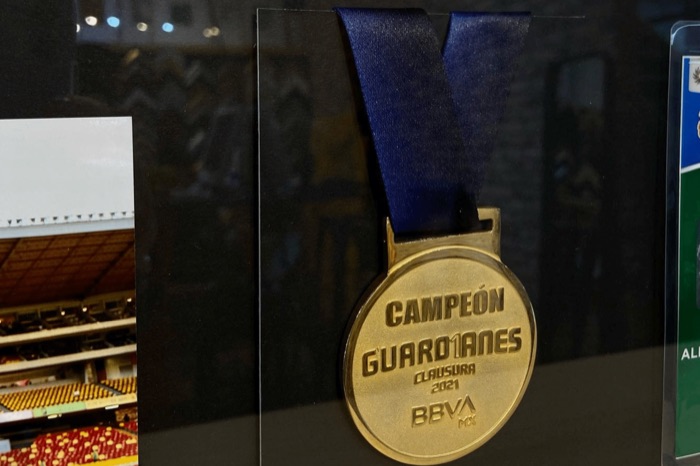 Medalla de campeón enmarcada